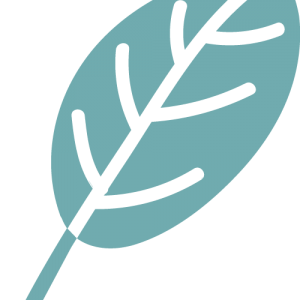 leaf-logo-teal.png